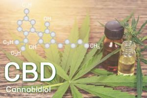 Cannabidiol ist in aller Munde: was kann es tatsächlich? © artit - Fotolia.com Hanfpflanze mit Cannabisöl auf einem Holzbrett.