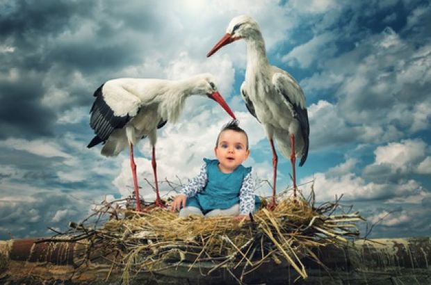 Ein Kind in die Welt zu setzen ist nicht immer so leicht, wie die Vorstellung vom Klapperstorch annehmen lässt. © johnwilhelm - Fotolia.com Ein Baby sitzt in einem Nest zwischen zwei Störchen.