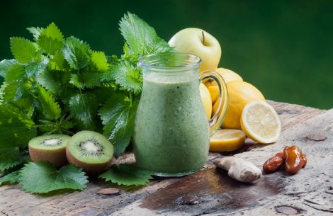 Smoothies mit Wildkräutern: grün, frisch & gesund.