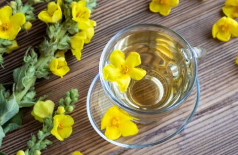 Teeglas umrandet von Blüten