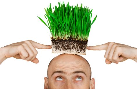 Junger Mann mit Glatze hält sich einen Topf mit Gras auf sein kahles Haupt.