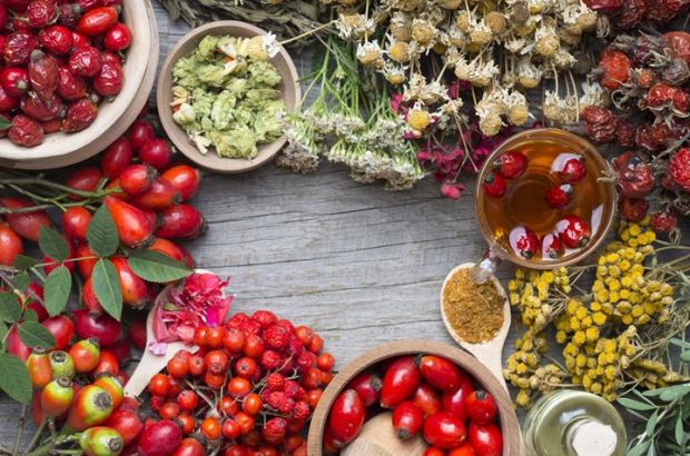Ebereschen, Hagebuttenfrüchte, Kamille und Schafgarbe auf einem Holzbrett.