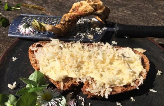 Frischer, geriebener Meerrettich auf einem Butterbrot.